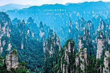 天子山风景区第 78 张图片