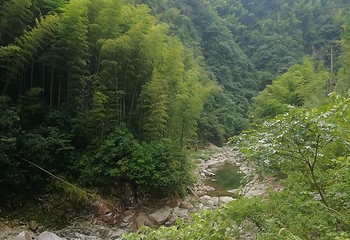 龙王山峡谷漂流第 20 张图片