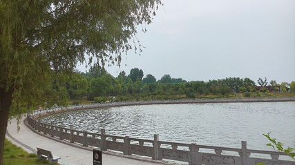 鄢陵鹤鸣湖国家湿地公园第 16 张图片