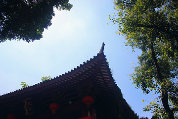 光孝寺第 26 张图片