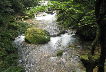 水绕四门第 15 张图片