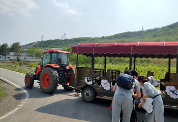 铭湖国际牧场第 21 张图片
