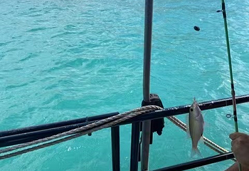 小东海第 102 张图片