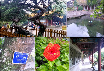 慧济禅寺第 31 张图片