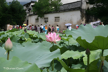 宏村景区第 65 张图片