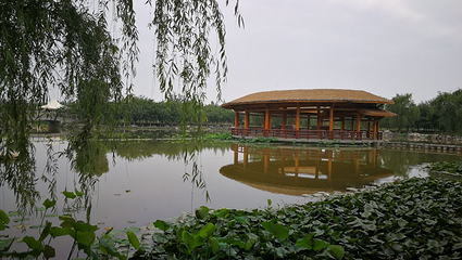 西安浐灞国家湿地公园第 86 张图片