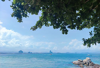 亚龙湾海底世界第 58 张图片