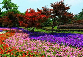 杭州花圃第 2 张图片