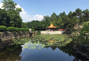 三水森林公园第 43 张图片
