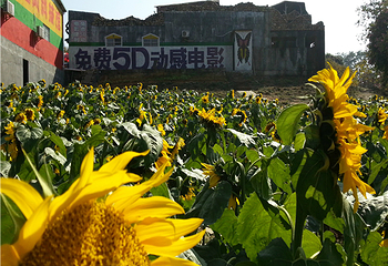 松湖生态园第 8 张图片
