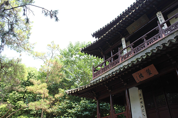 莲花庄公园第 11 张图片