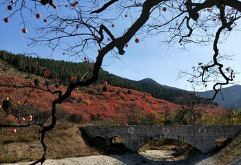 官护山第 14 张图片