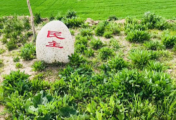 唐布拉草原第 17 张图片