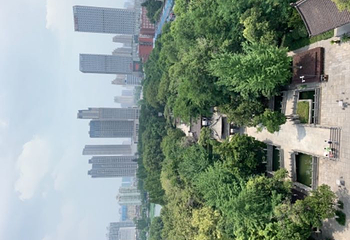 包公园第 65 张图片