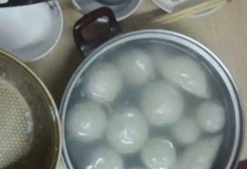 上海植物园第 87 张图片