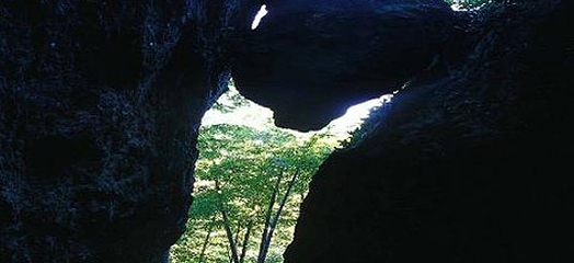 荫山洞第 3 张图片