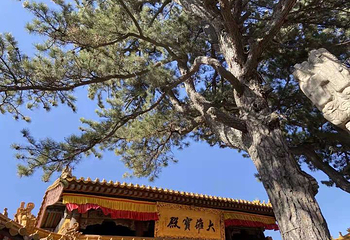勑赐广化寺第 16 张图片