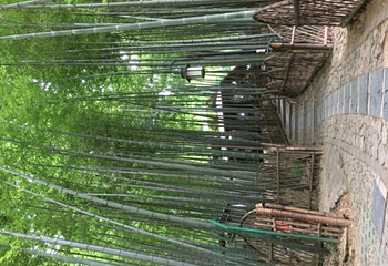 虞山景区第 62 张图片