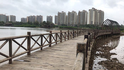 富力红树湾湿地公园第 40 张图片