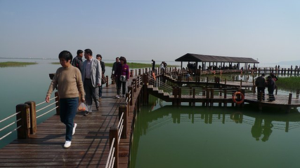 太湖公园码头第 17 张图片