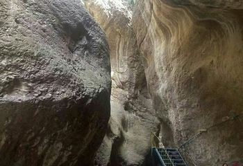 小五台山自然博物馆第 20 张图片
