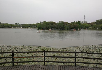 闵行体育公园第 25 张图片