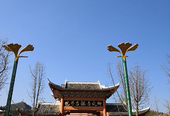 妥乐古银杏第 47 张图片
