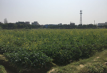 东莞百香岛生态农业旅游区第 7 张图片
