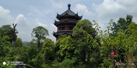 岭南和园第 12 张图片