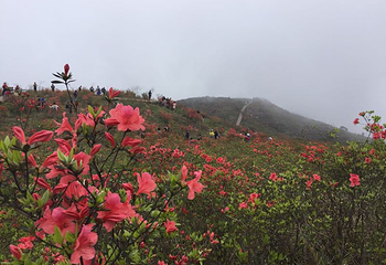 温州瑞安圣井山第 13 张图片