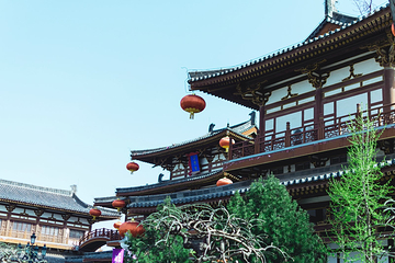青龙寺第 82 张图片
