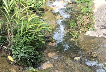 香水河第 37 张图片