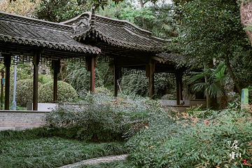 凤城河梅园第 40 张图片