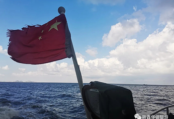 花鸟岛第 110 张图片
