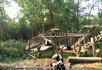 安澜桥第 3 张图片