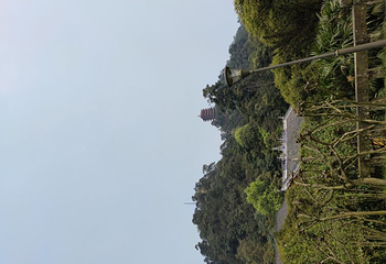 缙云山第 35 张图片