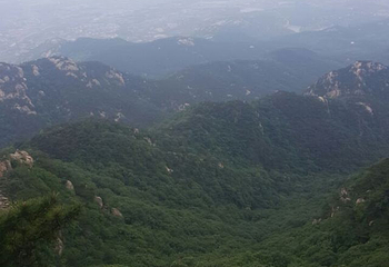 明光寺佛教文化景区第 56 张图片