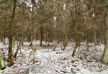 仙女山滑雪场第 17 张图片