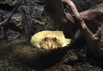 北海海底世界第 71 张图片