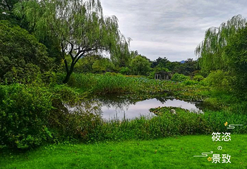 杭州花圃第 5 张图片