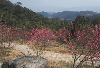 泉州·南安·仙境天柱山旅游度假区第 21 张图片
