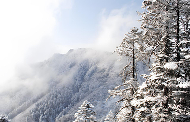 西岭雪山（滑雪场景区）第 10 张图片