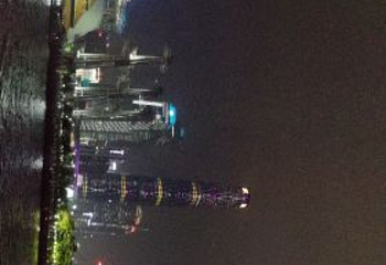 珠江夜游蓝海豚游船第 17 张图片