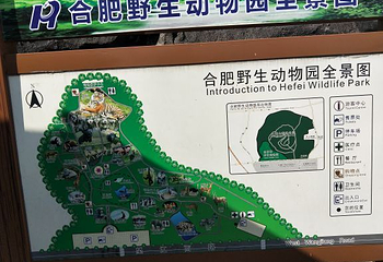 合肥野生动物园第 35 张图片