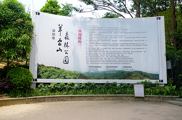 阳台山森林公园第 26 张图片