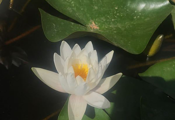 水神堂第 6 张图片