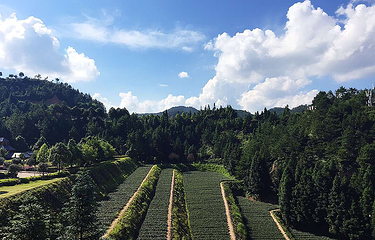 华祥苑茶庄园(珠塔村店)第 24 张图片