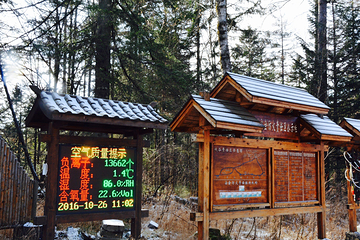 长白山大峡谷第 14 张图片