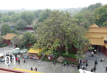 龙亭景区第 100 张图片