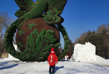 太阳岛雪博会第 125 张图片